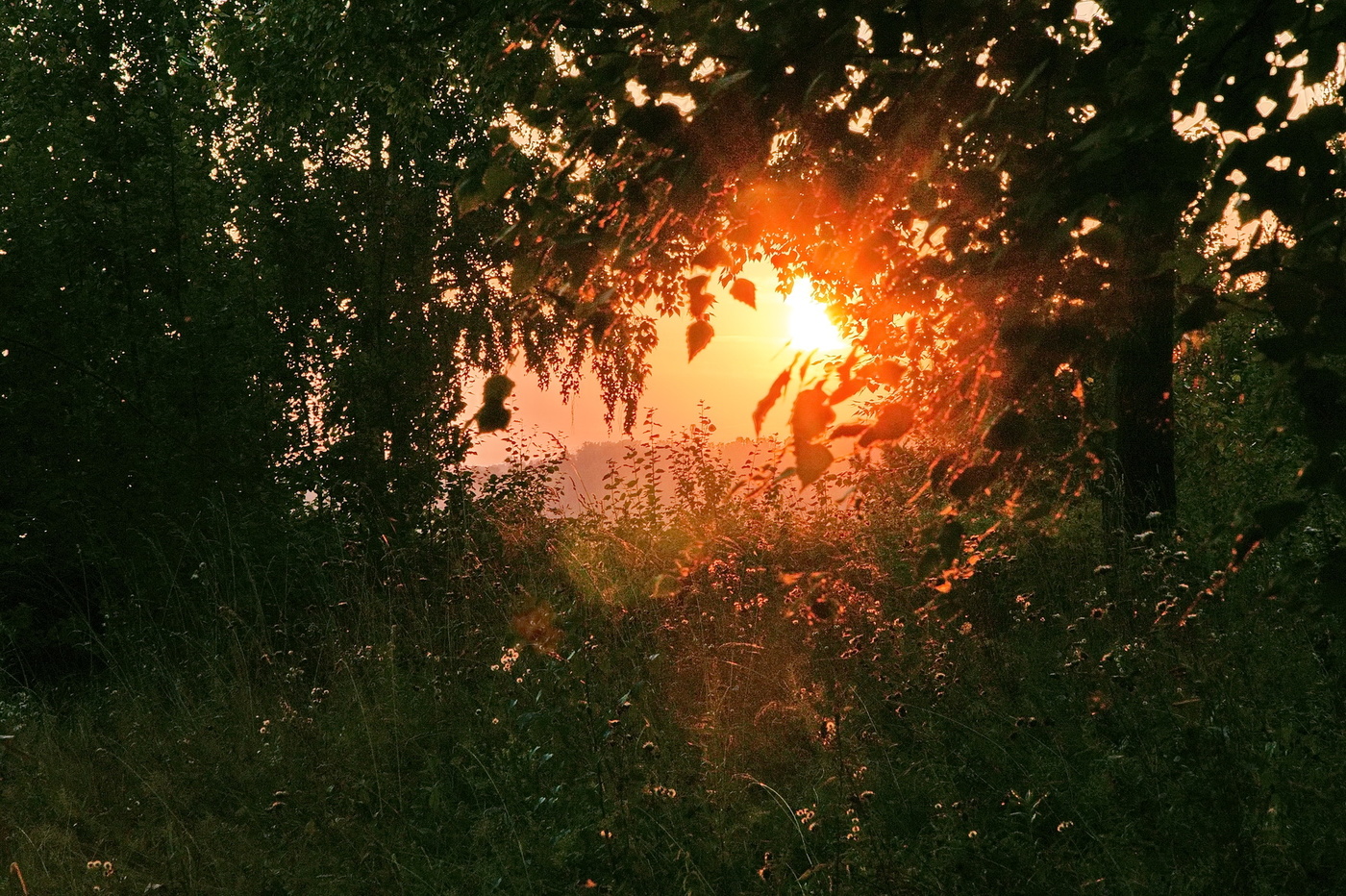 Вечернее солнце