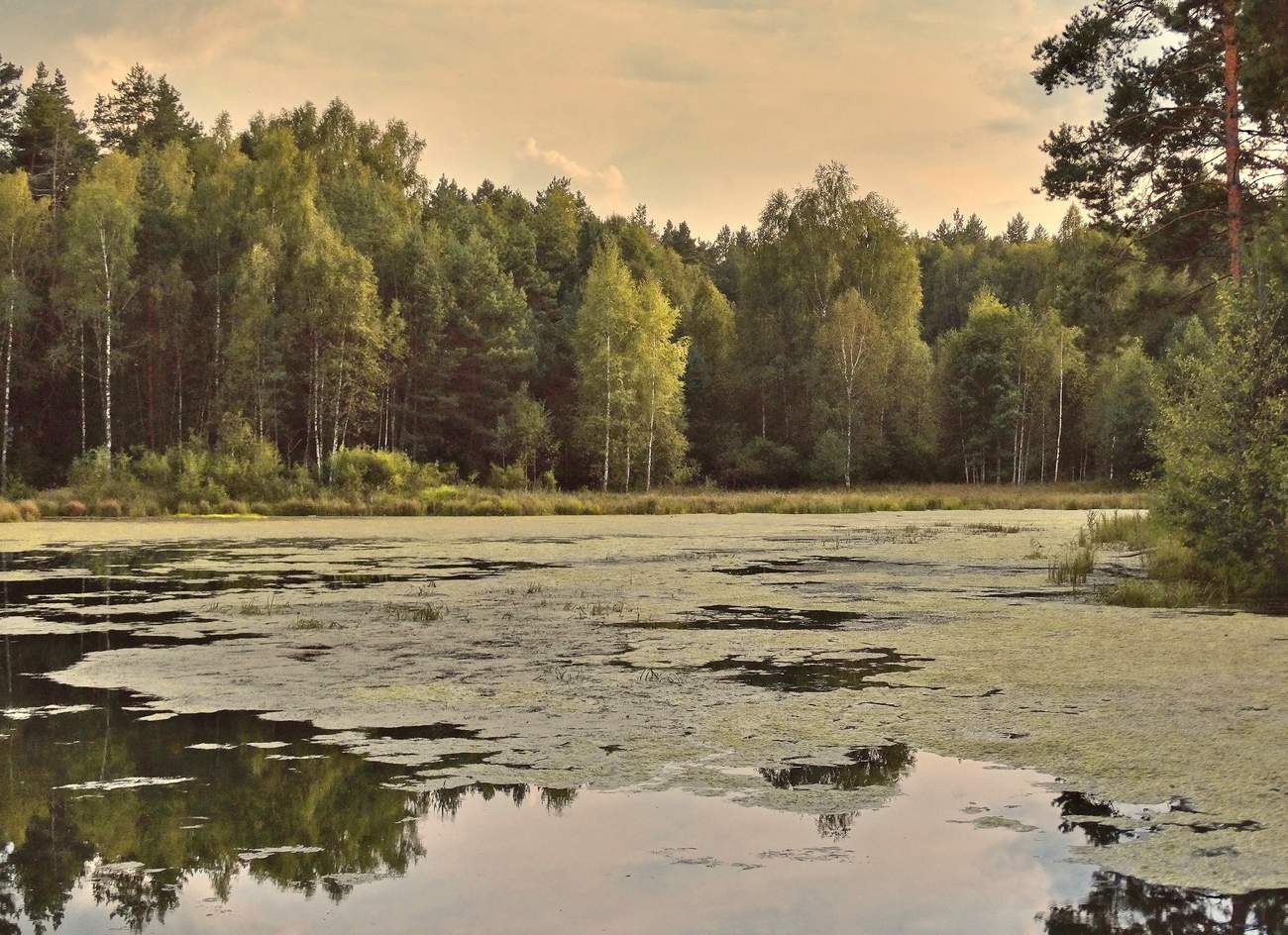 Сентябрьским вечером на лесном озере