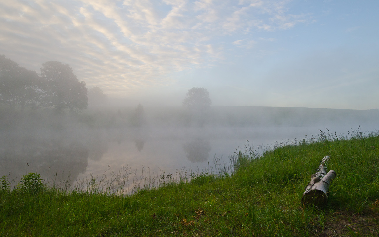 У летнего озера
