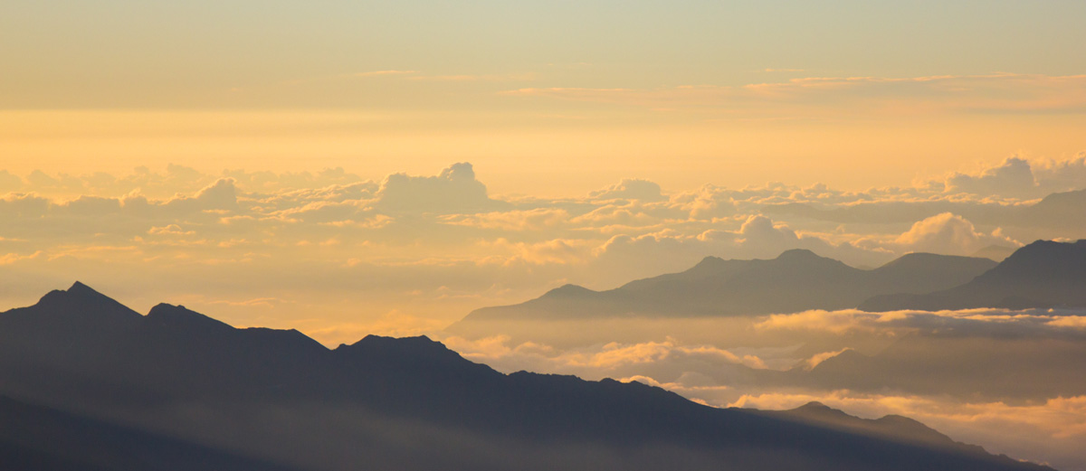 Упоённый солнечным светом