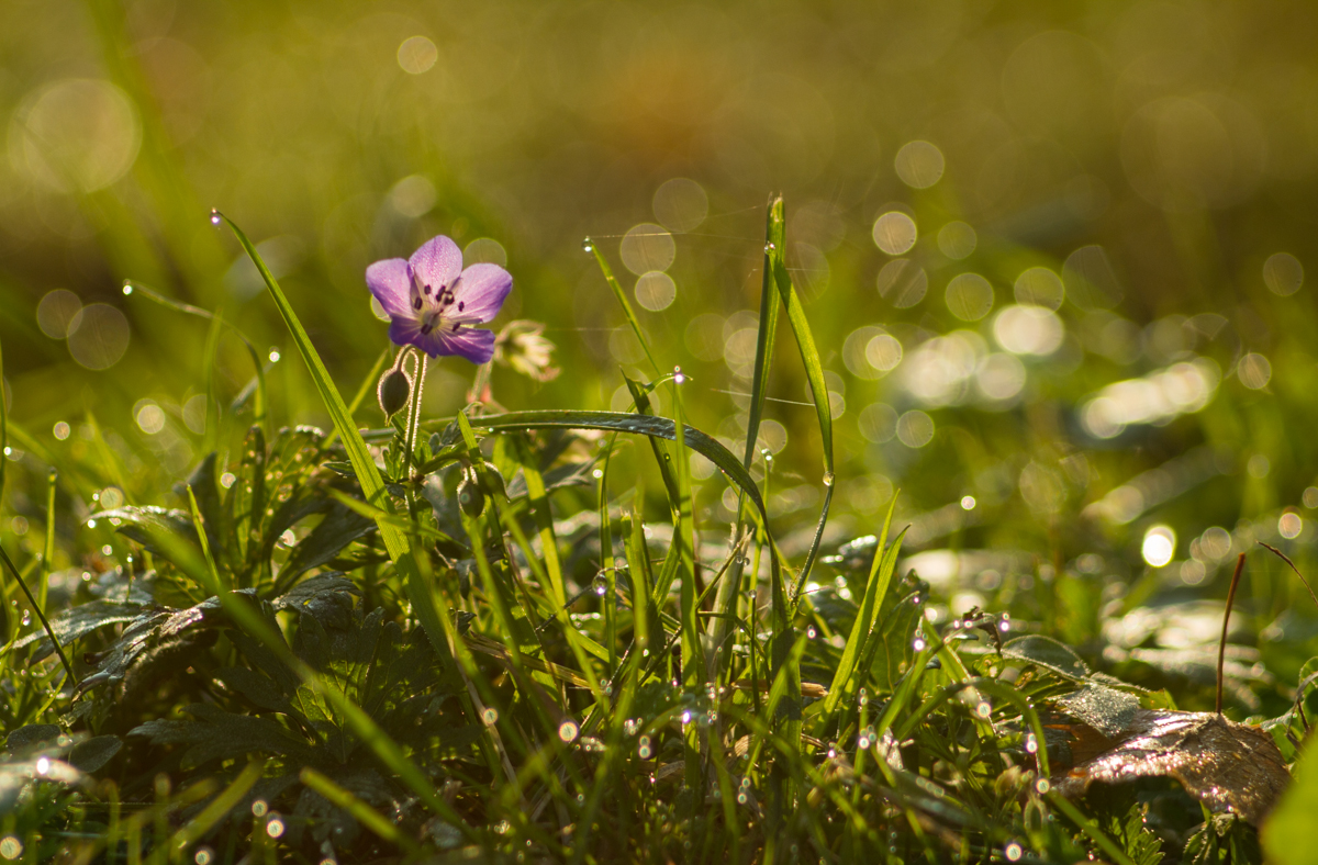 сентябрьским утром