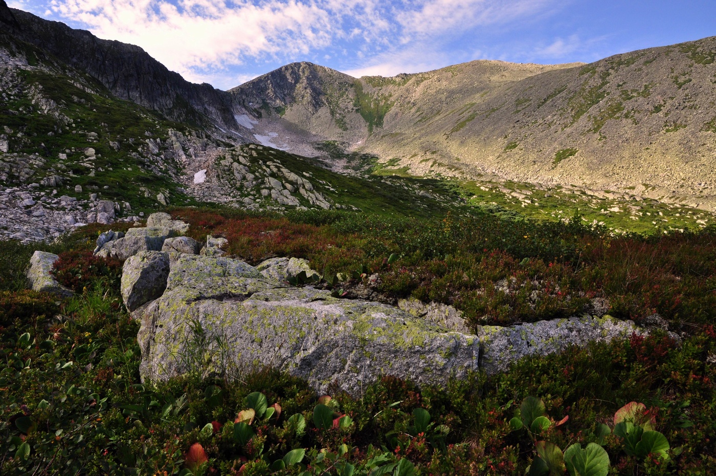Горы, травы и камни