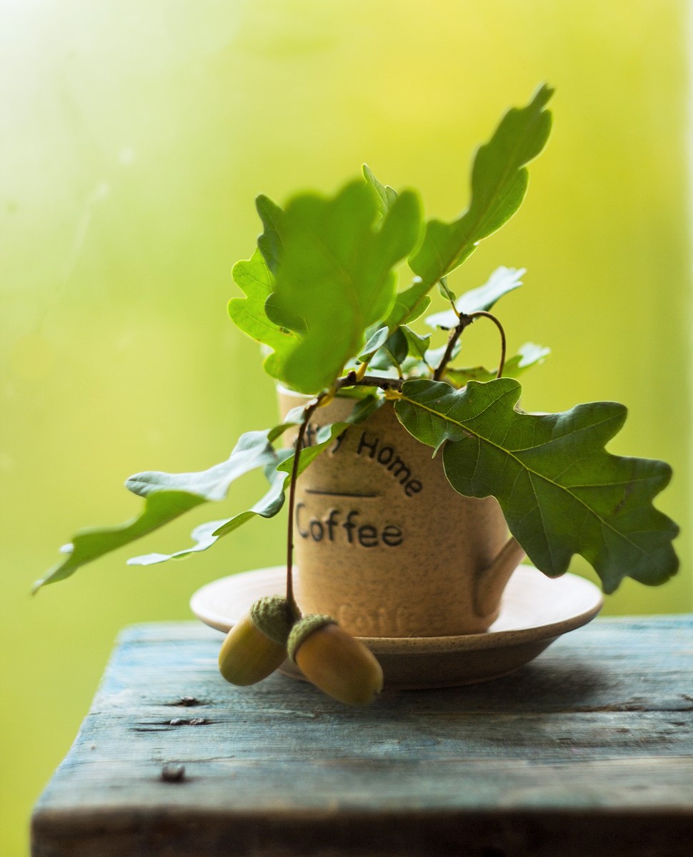 осенний натюрморт