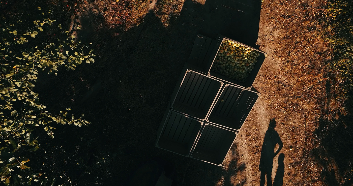 Что происходит