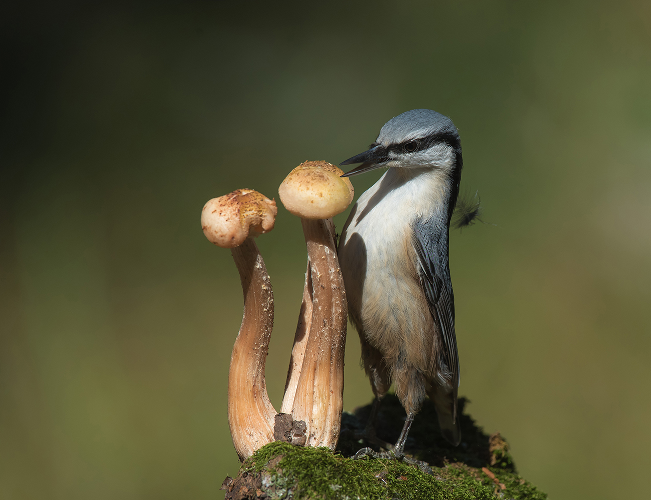 Эй, это моё место!