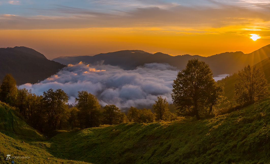 Туман в горной долине