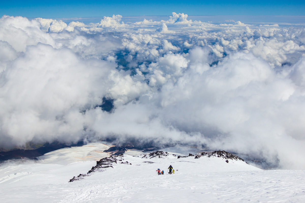 Вперёд и вверх