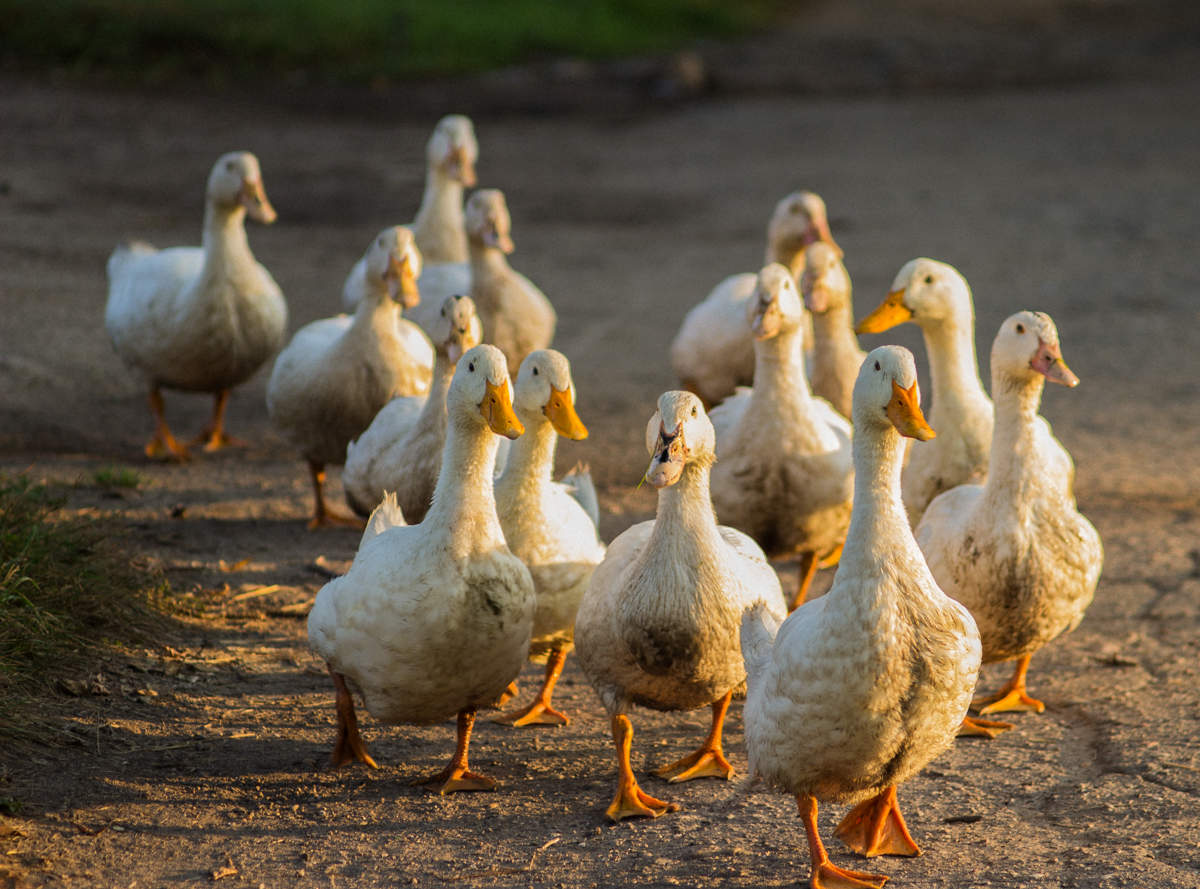 Осенний марафон