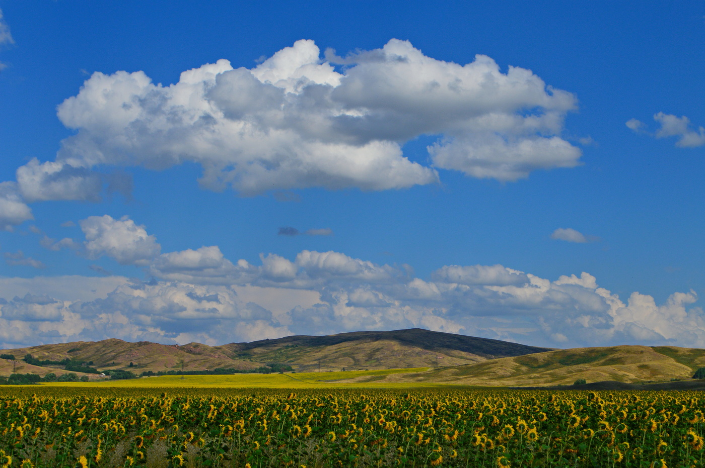 Раздвигая горизонт