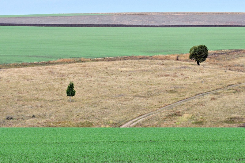 Раздвигая горизонт