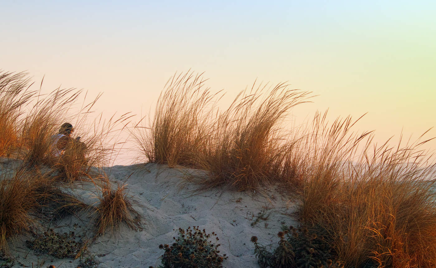 Мелодия рассвета