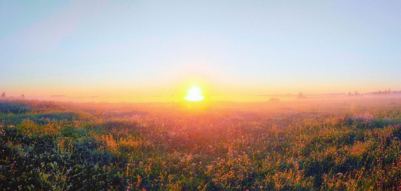 Ностальгия.