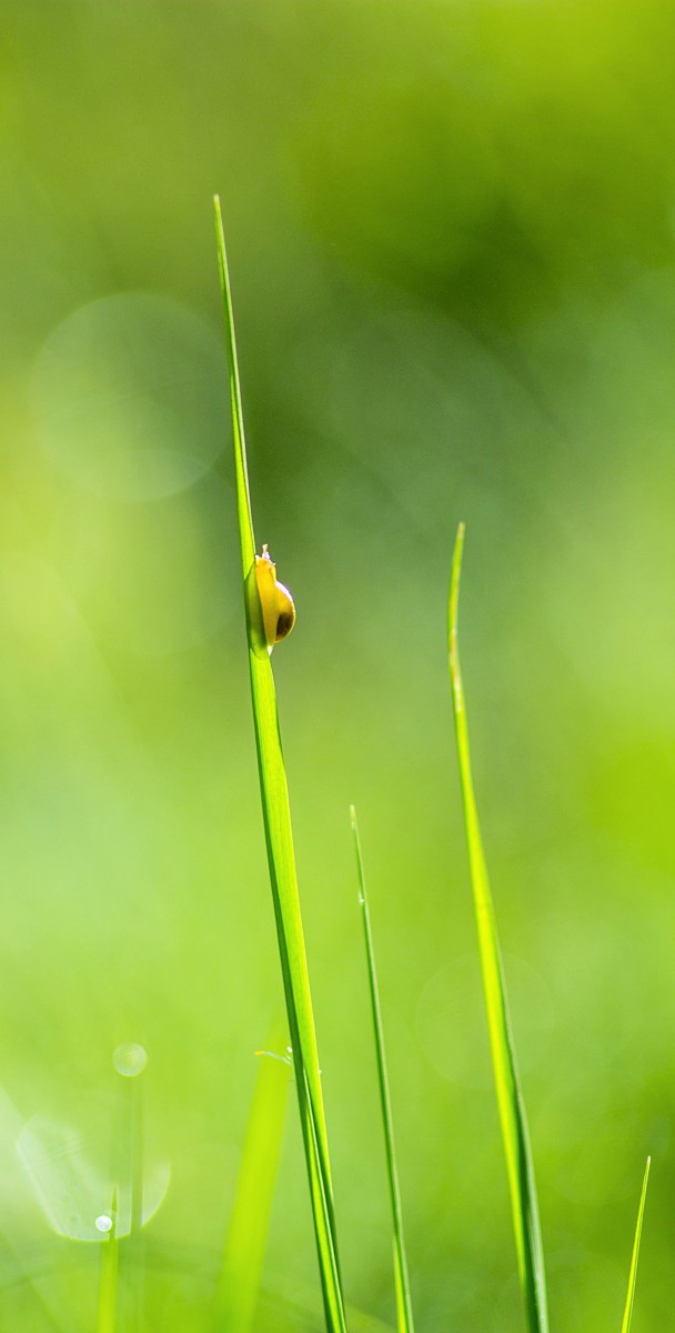 из летних воспоминаний