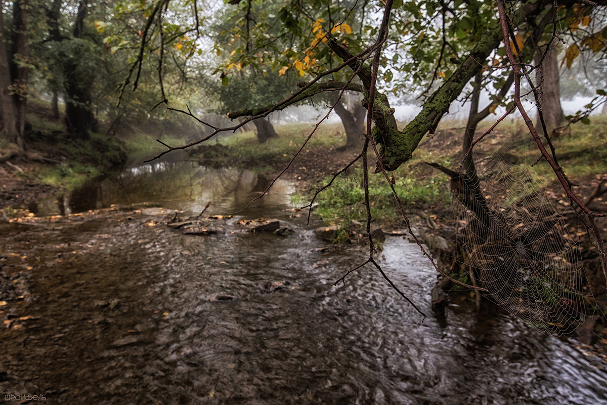 Туманное утро 16 сентября