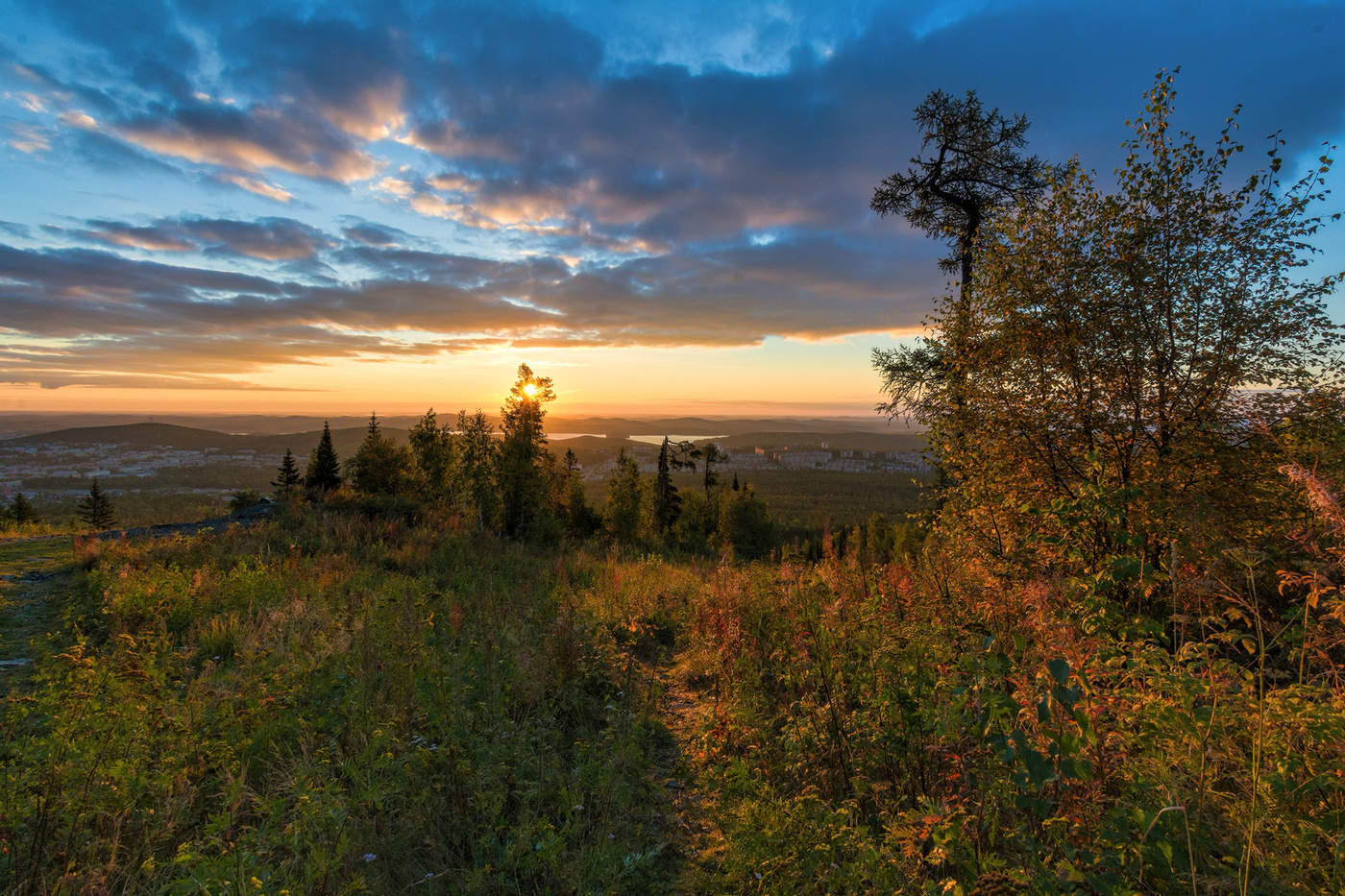 Утренний свет