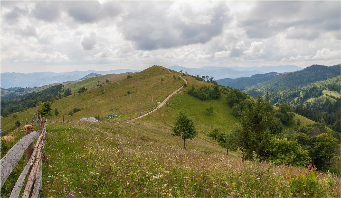 По горным дорожкам
