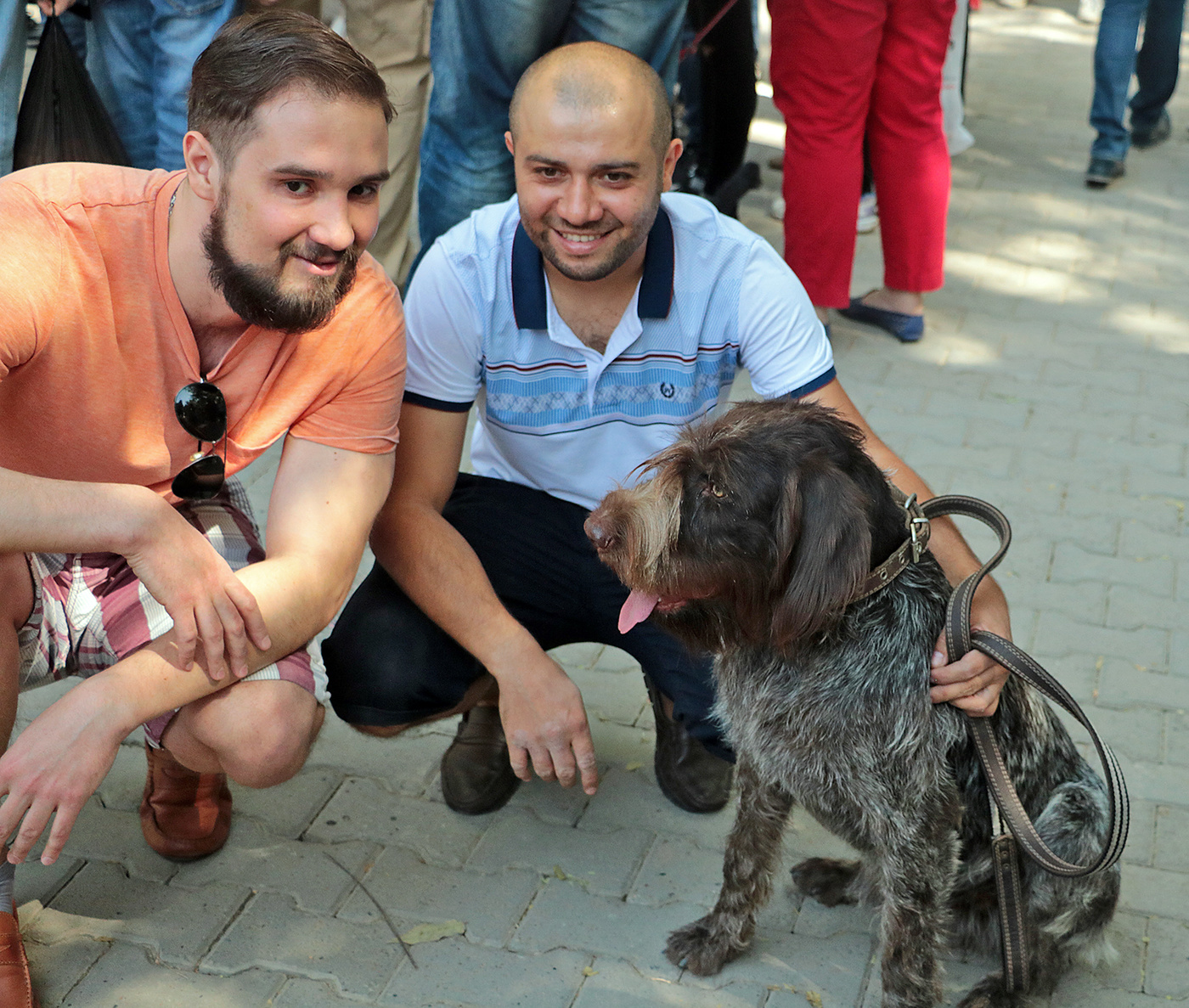 Трио усатых-бородатых