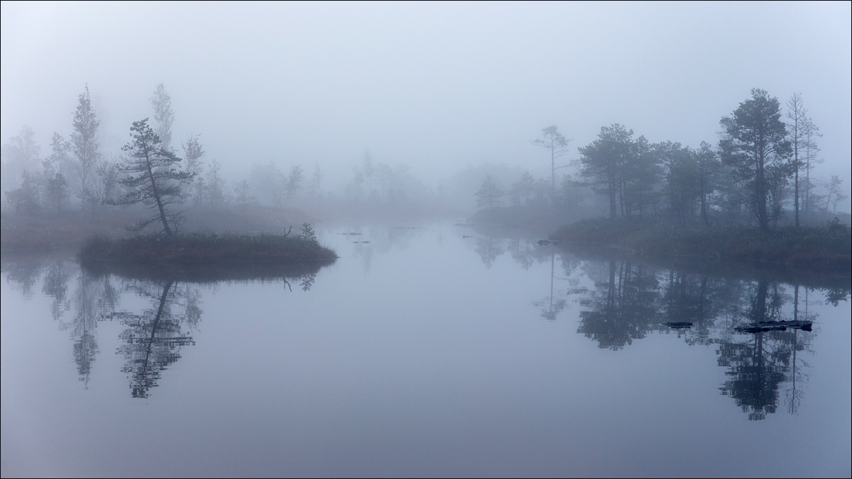 Островок в тумане