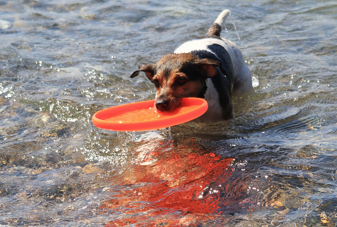 спасатель Кола