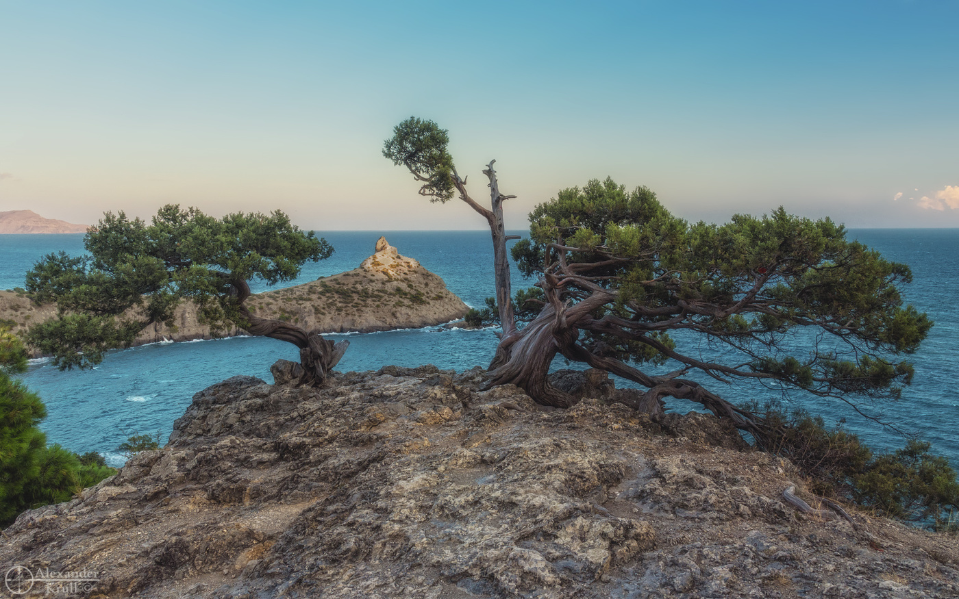 Капчик вечерний...