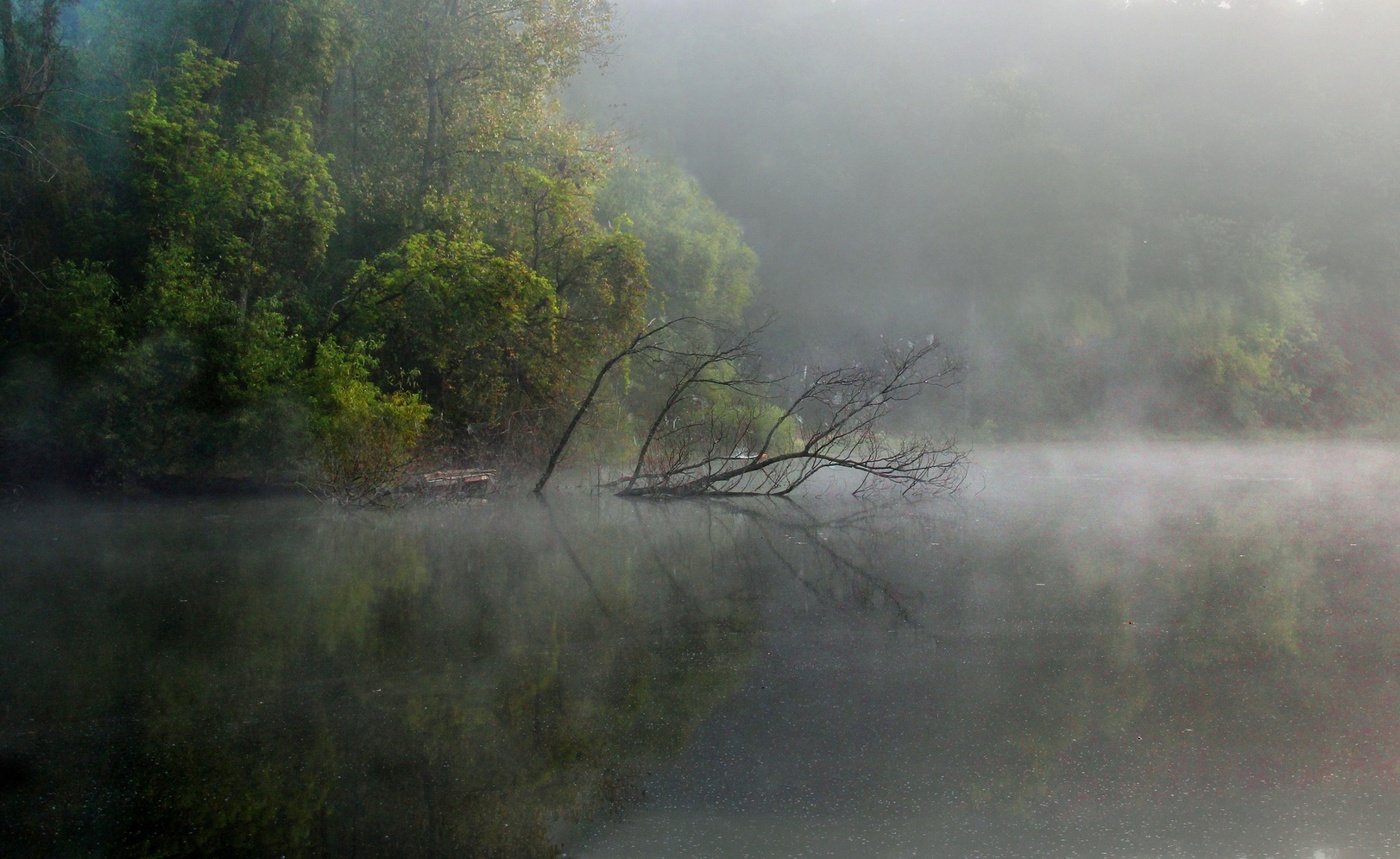 Хмурое утро