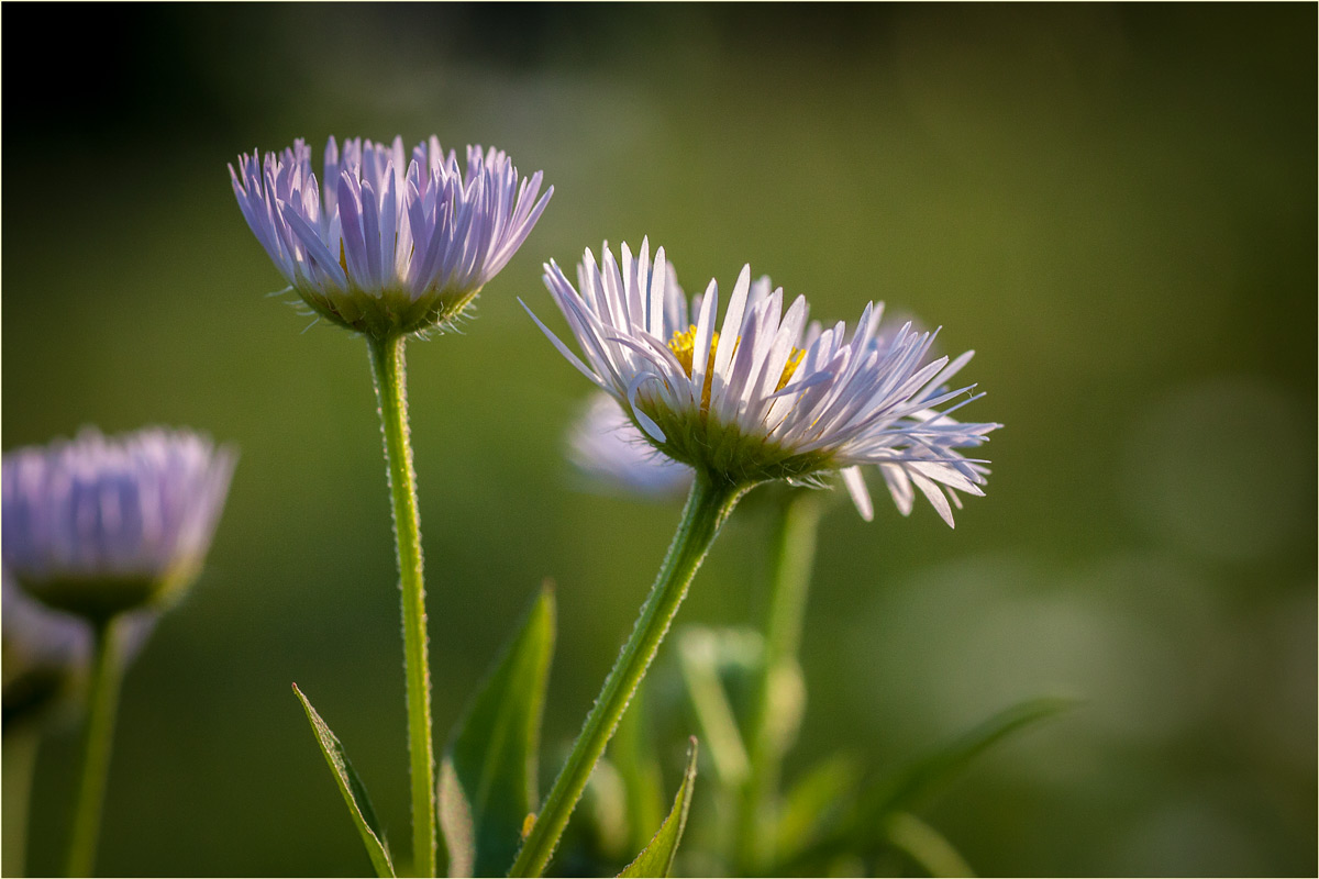 Краски заката