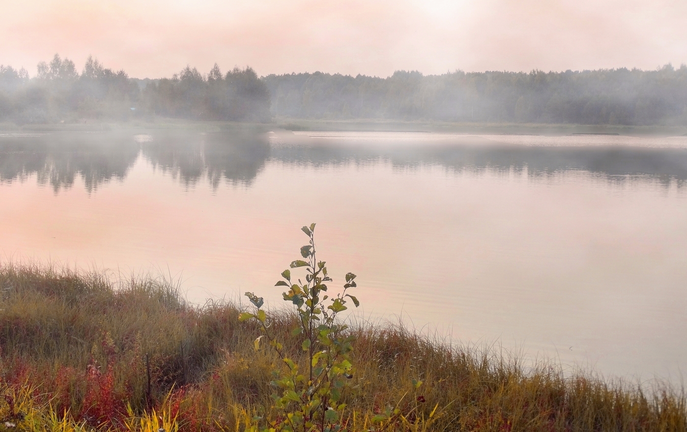 Туманный вечер