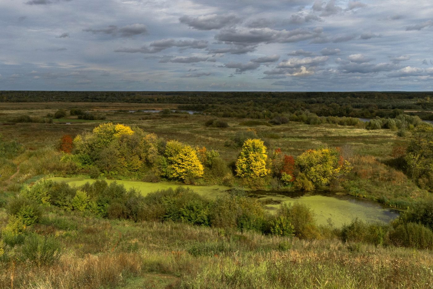 Признаки осени