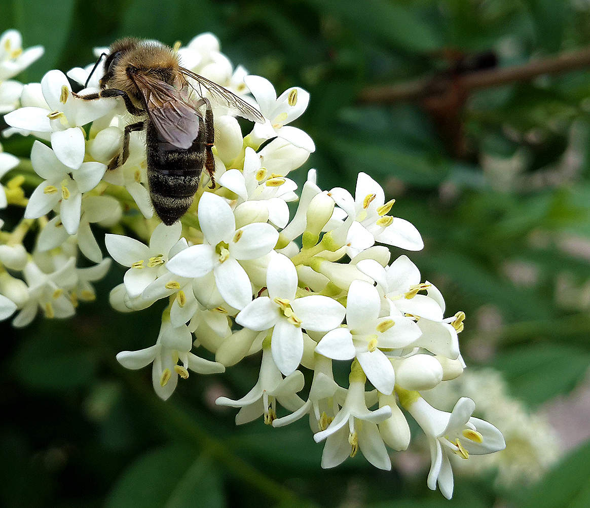 Красота и спасет, и накормит...