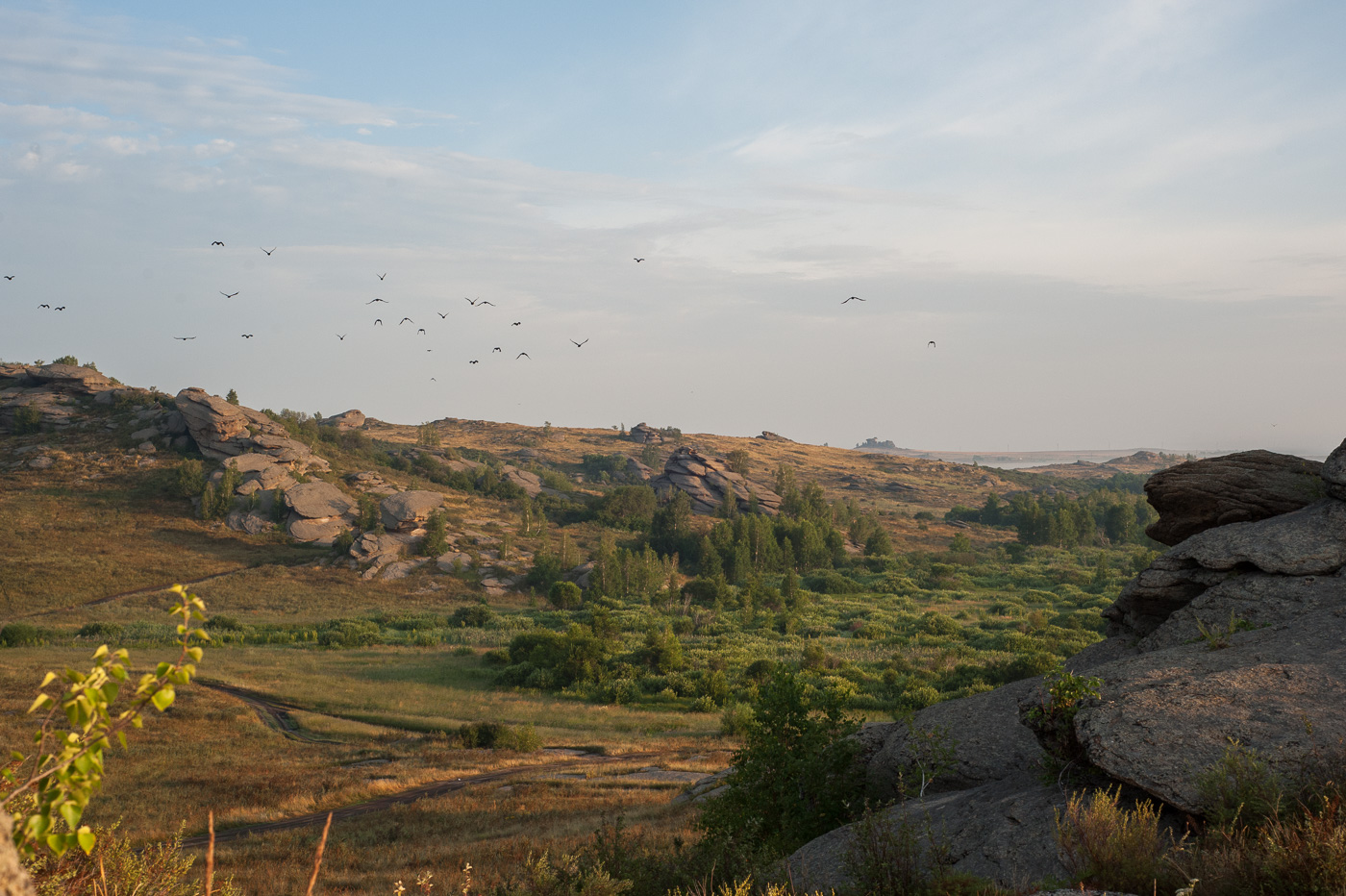 Улетают, птицы, улетают...