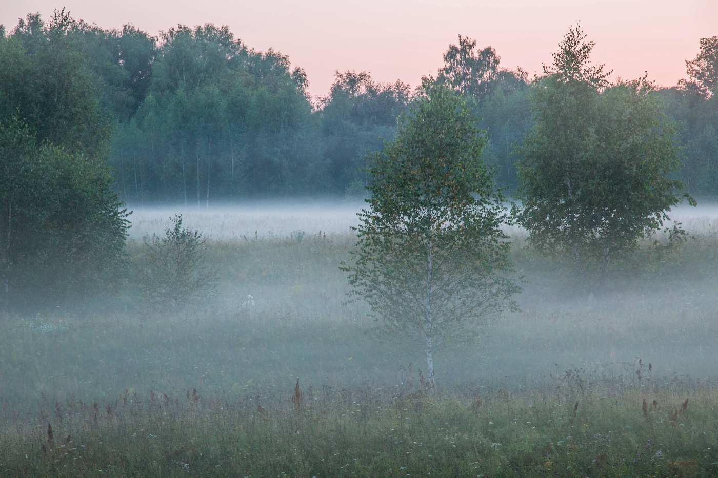 Вечерний туман