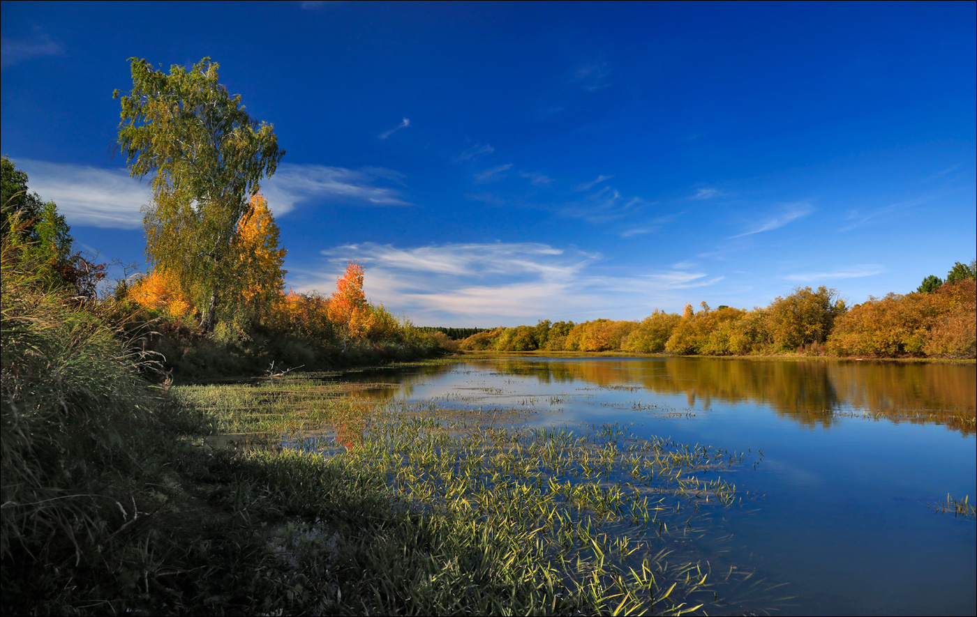Без названия