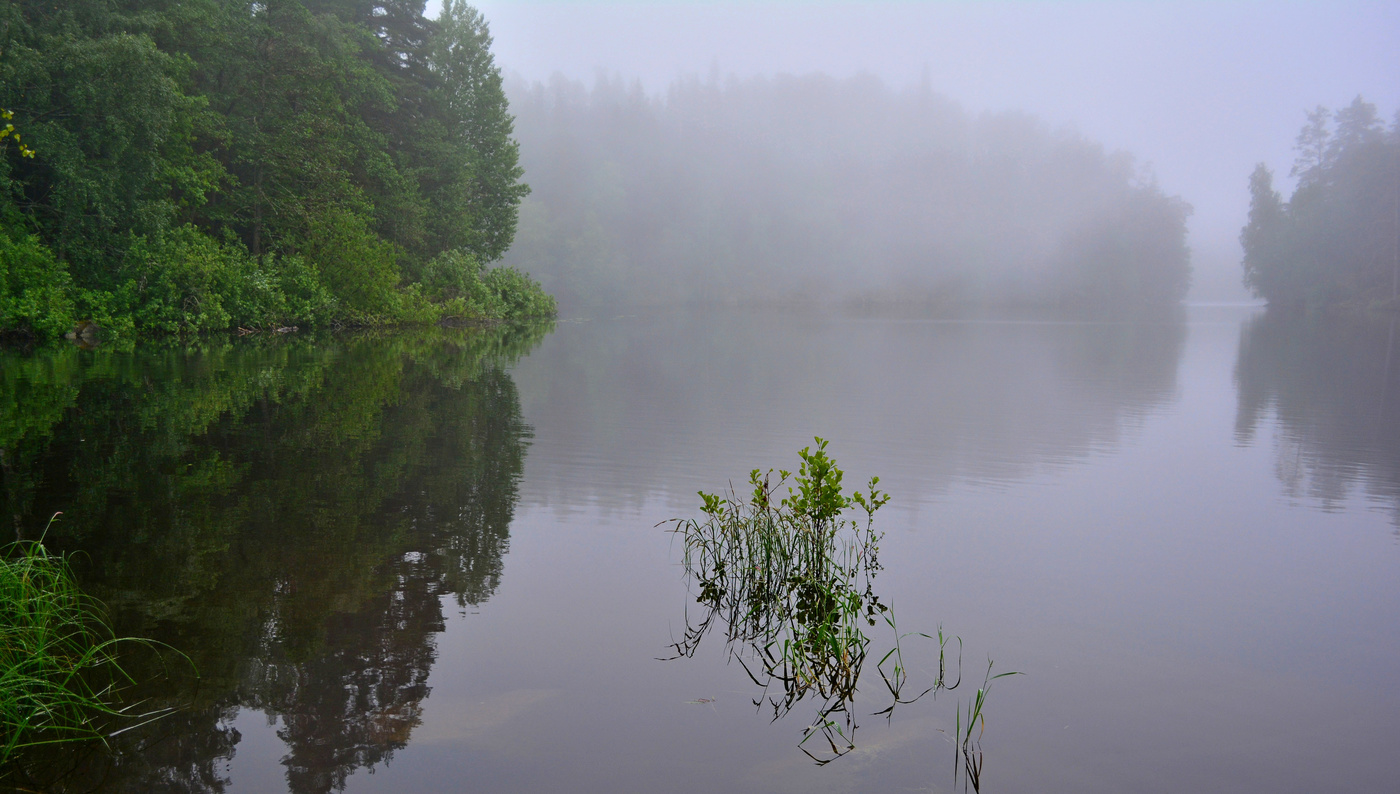 Тихая заводь