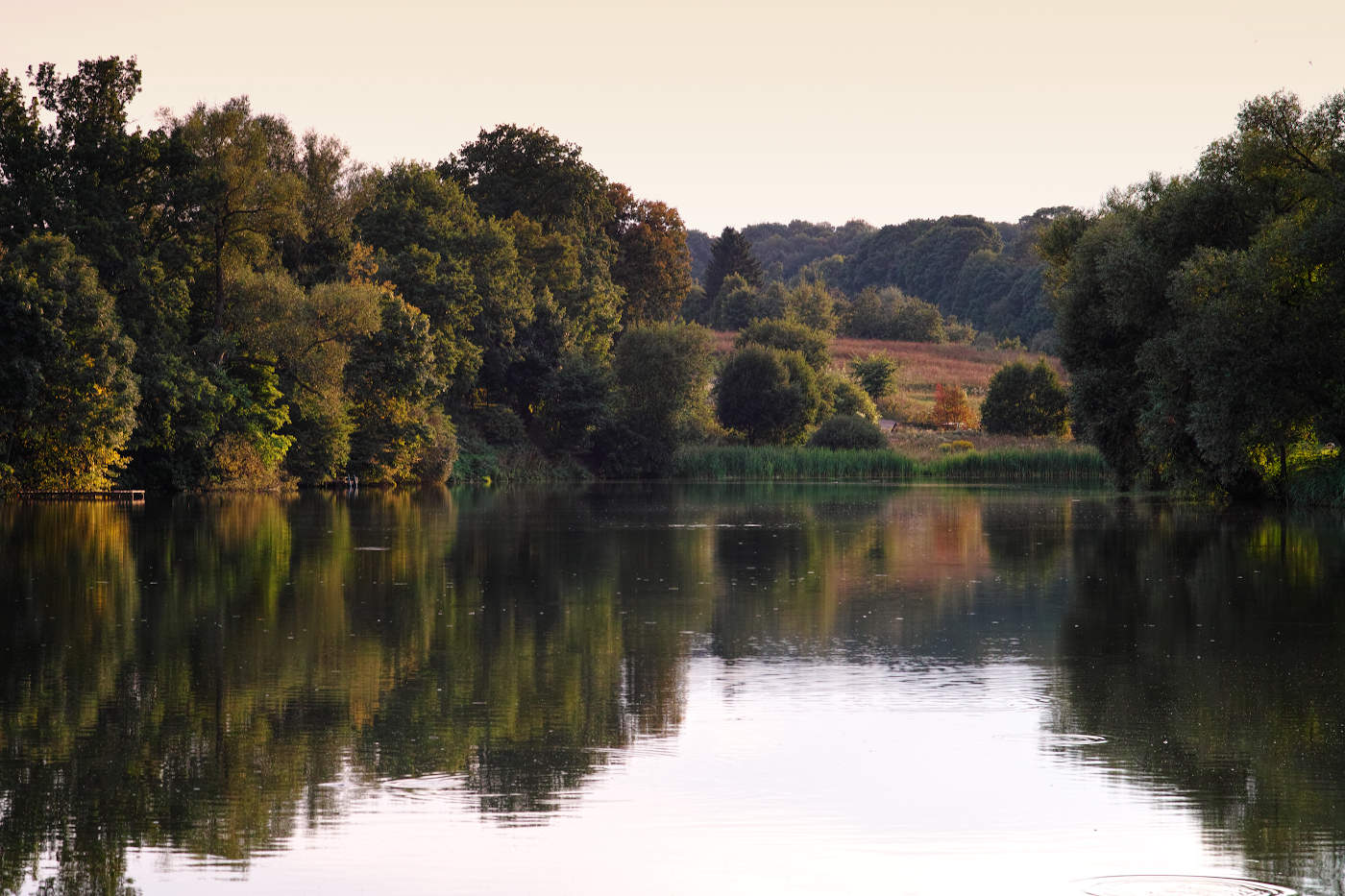 Тёплым вечером на "Большом пруду"