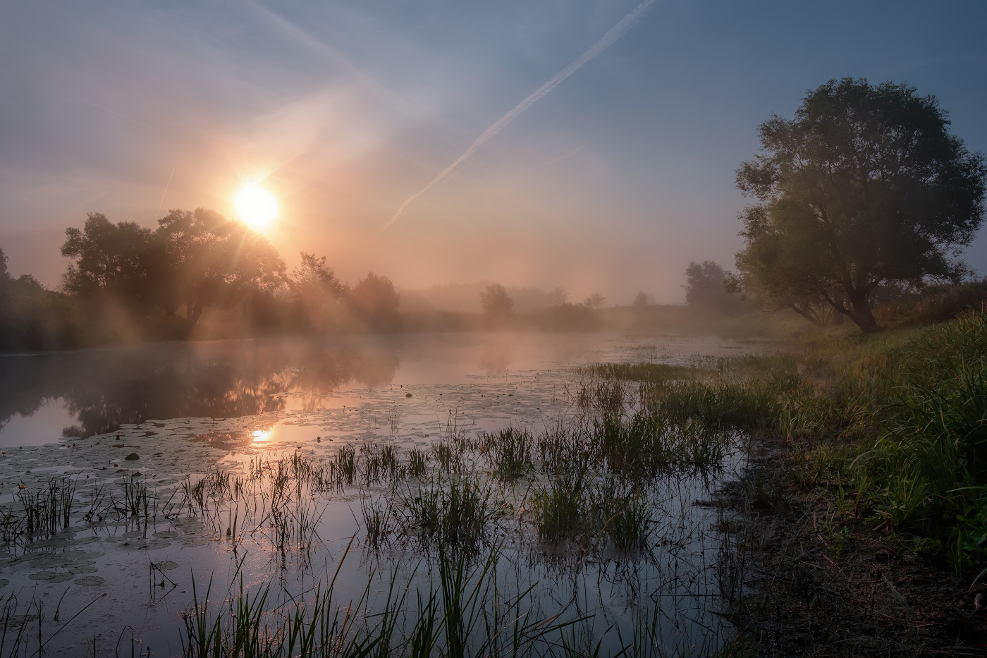 Рассвет у пруда