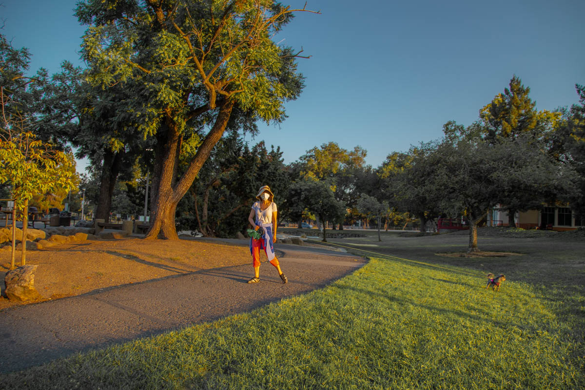 Вечерний моцион...