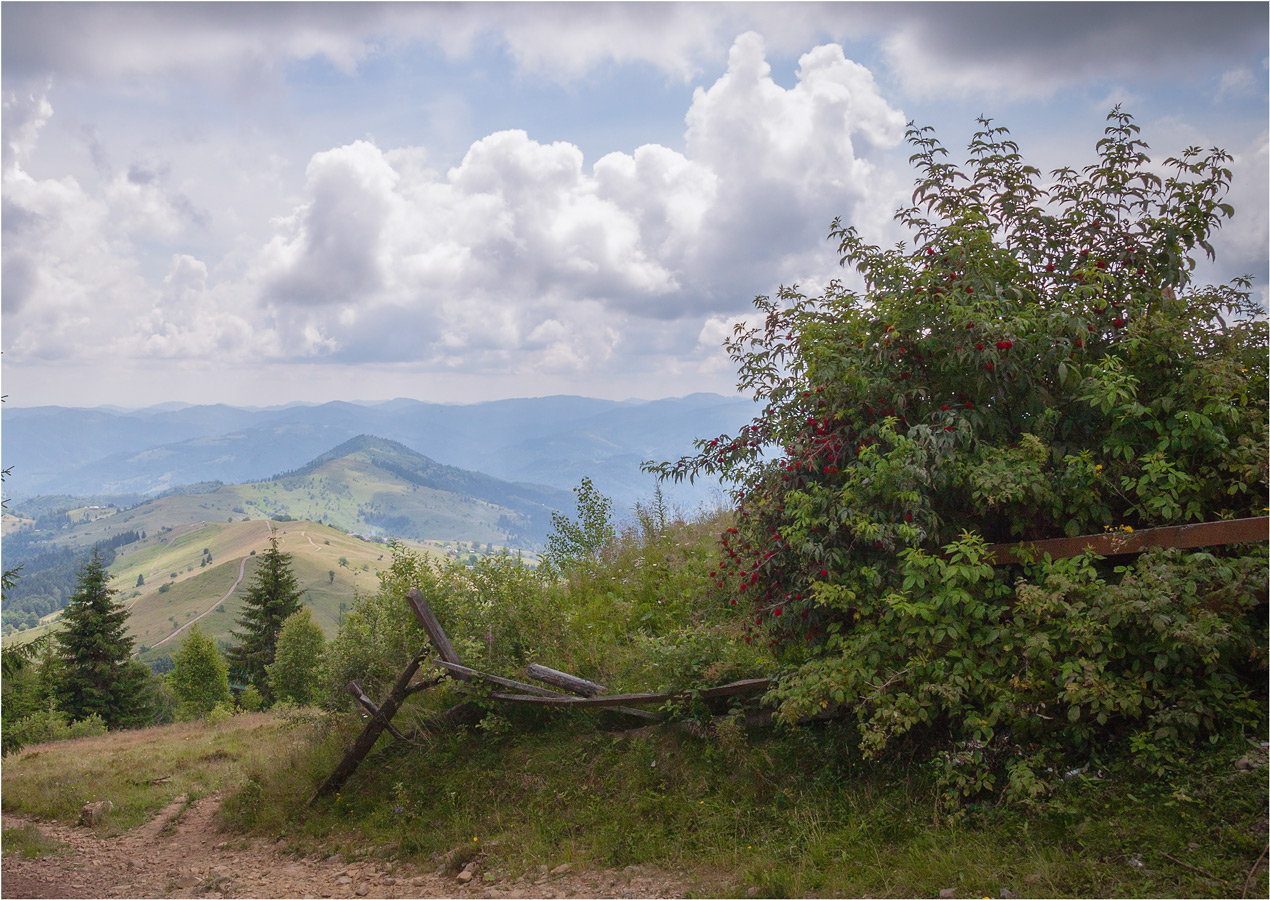 Карпатские зарисовки