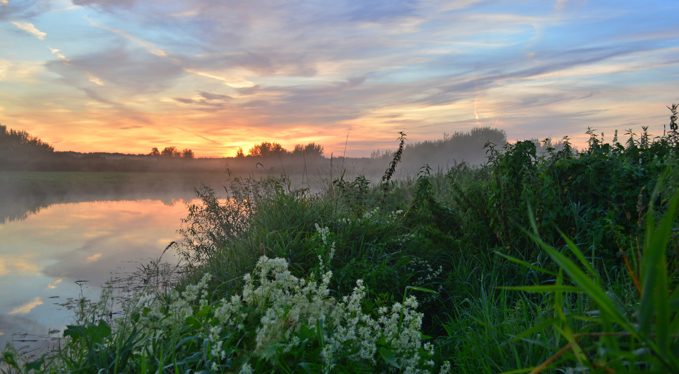 Рассветные берега
