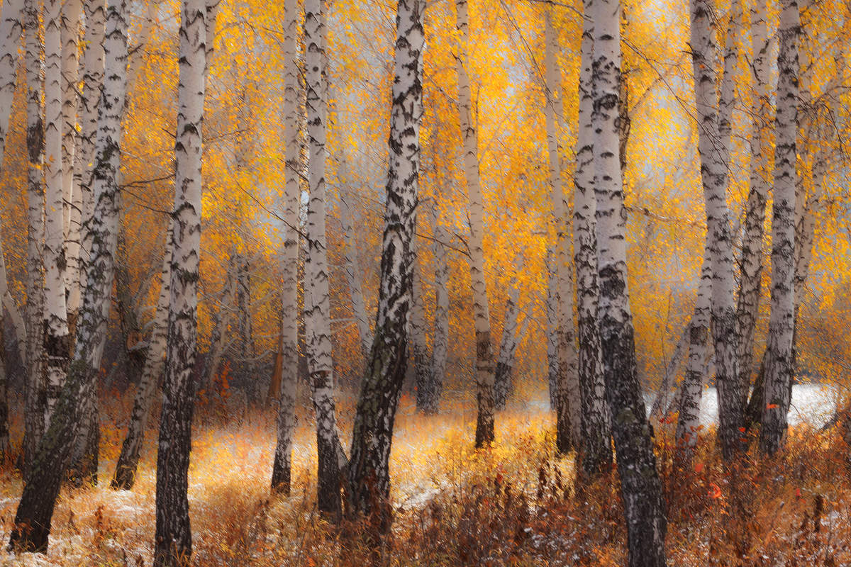 Встречая осень