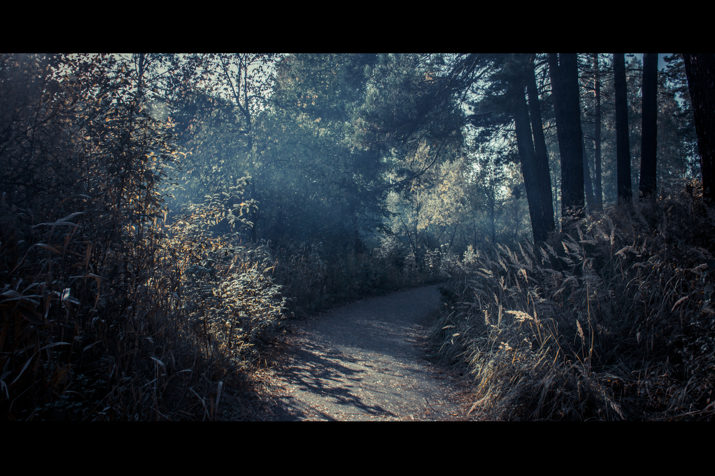 Красиво и загадочно