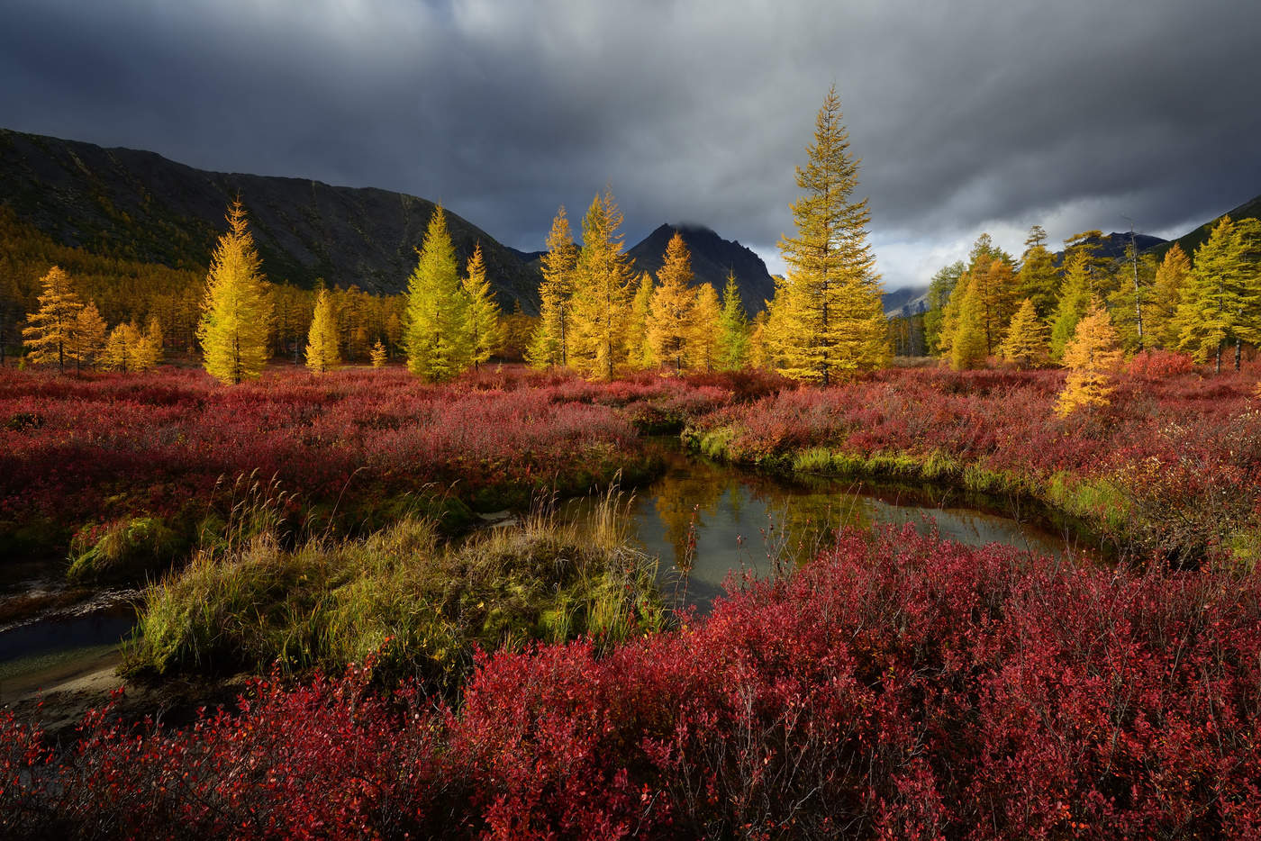 Загорелась осень....
