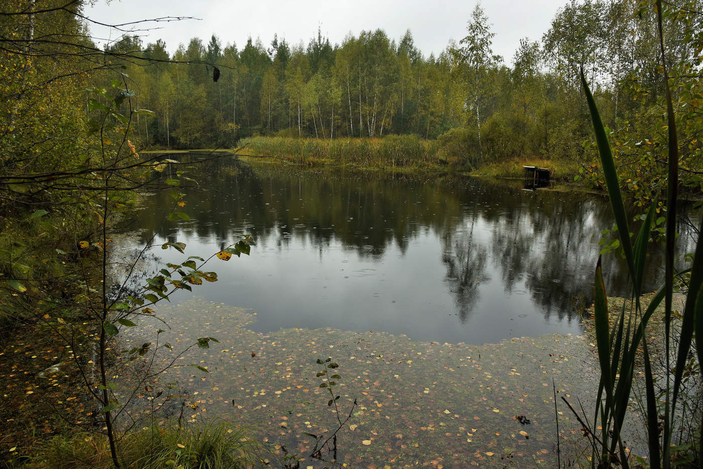 "Во вторник начался сентябрь ..."