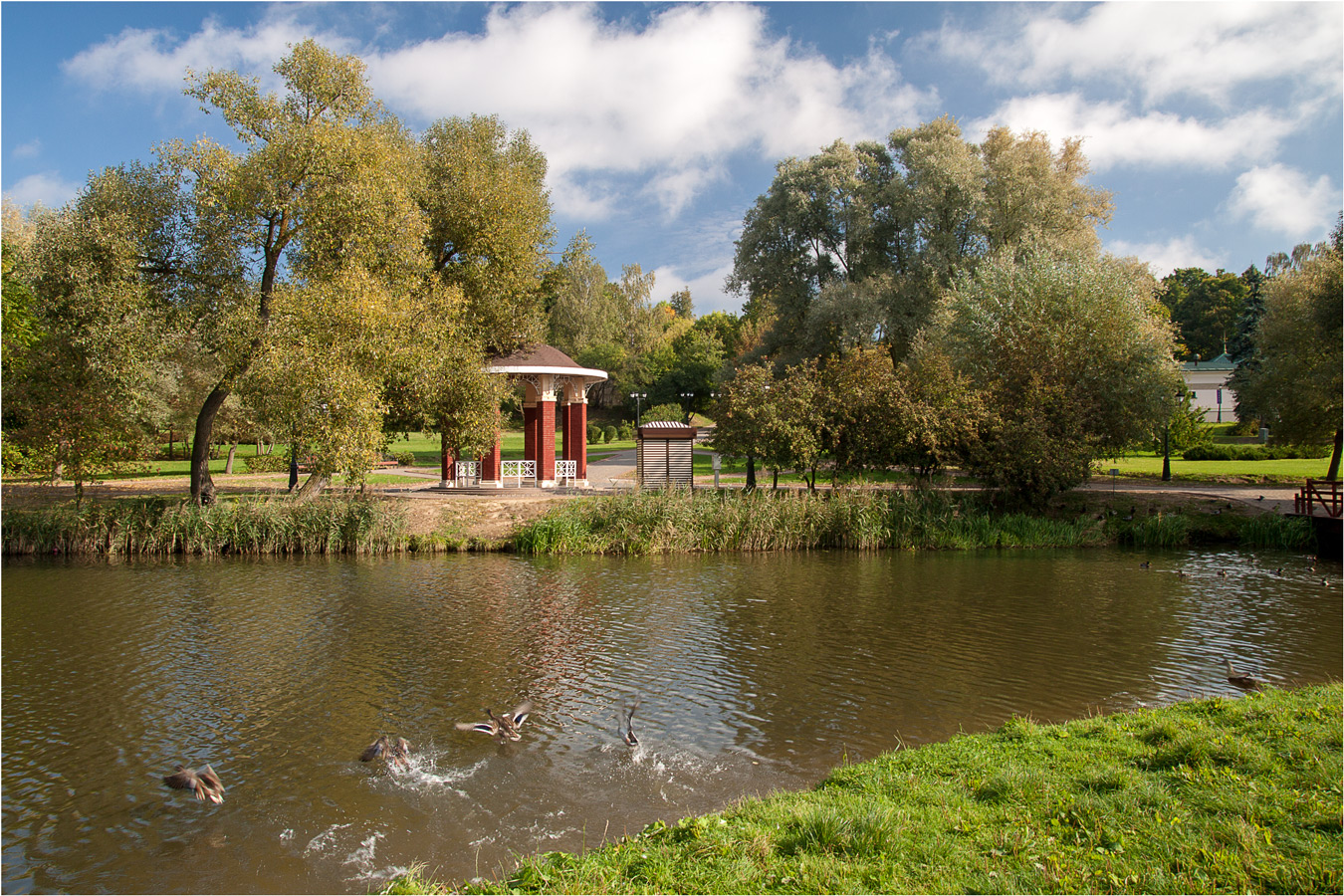 В городском парке