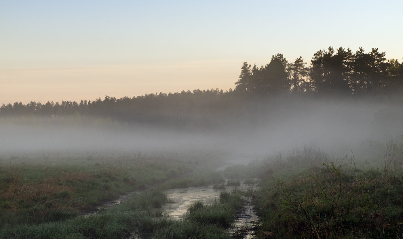 Туманный переход