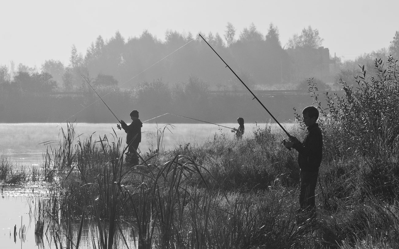 Новички на водоёме