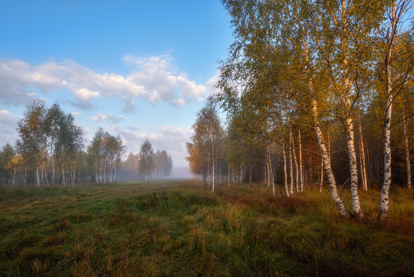 осеннее утро