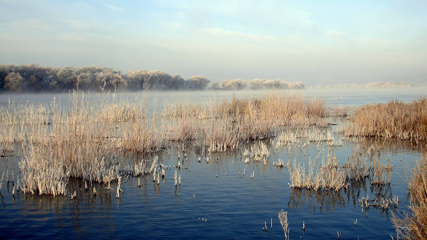 Седая осень.