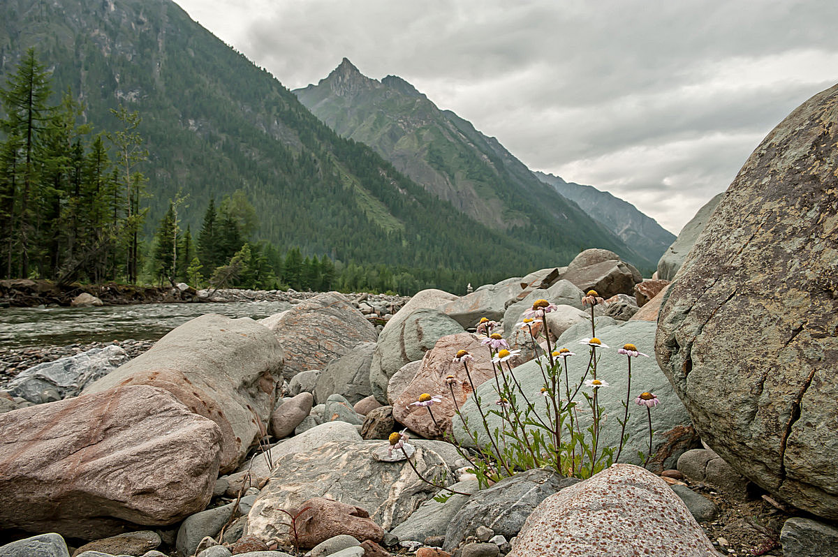 В каменных джунглях...