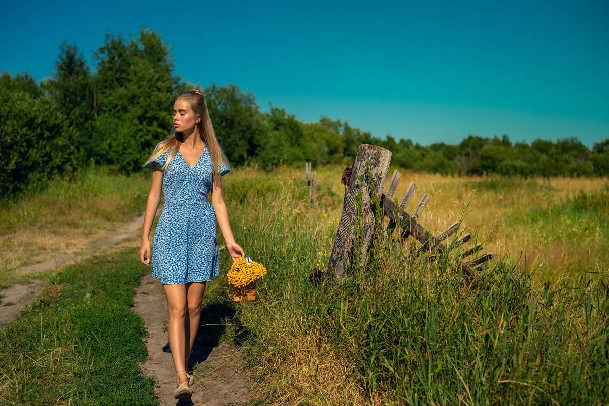 Полевые цветы