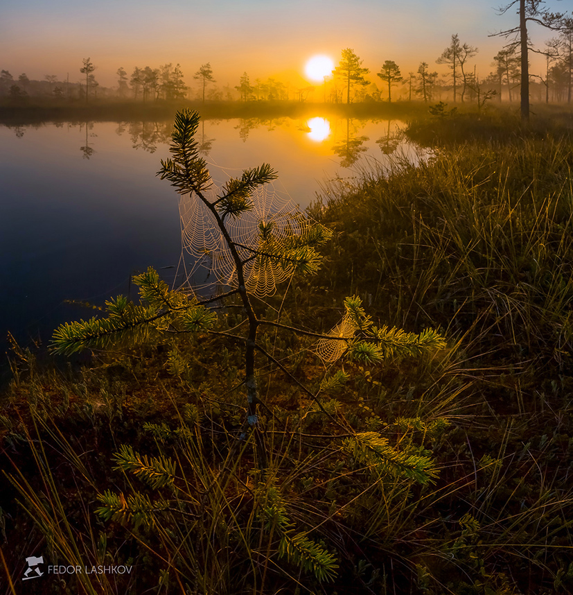 Осенняя паутина